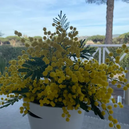 Holiday home Jolie Maison Cosy Vue Golfe De Saint Tropez *