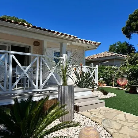 Jolie Maison Cosy Vue Golfe De Saint Tropez Feriehus